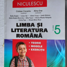 LIMBA SI LITERATURA ROMANA CLASA A V A TEORIE MODELE EXERCITII CIOCANIU