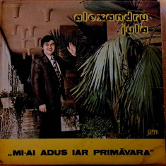 Disc Vinil Alexandru Jula - Mi-ai Adus Iar Primăvara-Electrecord- ST-EDE 02942