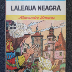 LALEAUA NEAGRA - Alexandre Dumas (Biblioteca pentru toti copiii)