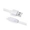 Lightning la USB 2.0 2.1A Cablu de date Hoco Premium pentru Apple iPhone-Lungime 2 Metri-Culoare Alb