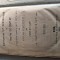 carte VECHE ,religioasa ebraica,iudaism ,tiparita la VIENA in 1859 ,Stare excelenta ,