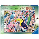 Puzzle Pasarile Lui Matt Sewell, 1000 Piese, Ravensburger