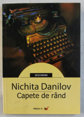 CAPETE DE RAND de NICHITA DANILOV , 2006 foto