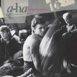 AHA Hunting High And Low reisssueremaster (cd)