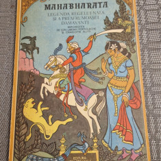 Mahabharata legenda regelui Nala si a prefrumoasei Damayanti