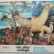 Mic atlas zoologic, animale domestice ? N. Saftoiu