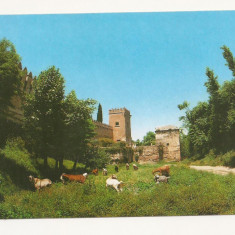 SP1 - Carte Postala - SPANIA - Granada, Torre de los Picos, Necirculata