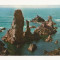 FA35-Carte Postala- FRANTA - Bretagne, Belle-Ile-En-Mer (Morbihan), necirculata