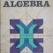 ALGEBRA-ION D. ION, R. NICOLAE-226961