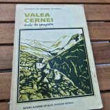 VALEA CERNEI. STUDIU DE GEOGRAFIE - L. BADEA