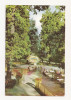 RF16-Carte Postala- Timisoara, Restaurantul din Padurea Verde, circulata 1962