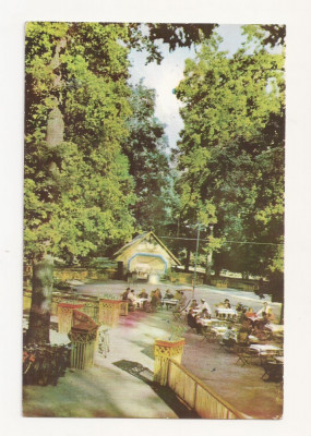 RF16-Carte Postala- Timisoara, Restaurantul din Padurea Verde, circulata 1962 foto