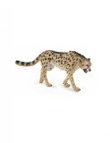 Figurina Ghepard King L Collecta