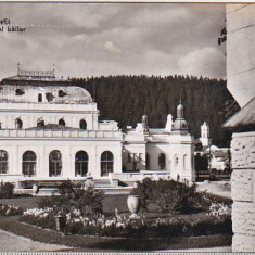 bnk cp Vatra Dornei - Pavilionul central al bailor - Vedere - circulata