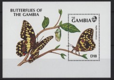 GAMBIA 1991 FAUNA INSECTE FLUTURI foto