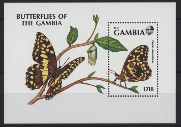 GAMBIA 1991 FAUNA INSECTE FLUTURI
