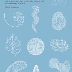 The Architecture of Evolution: The Science of Form in Twentieth-Century Evolutionary Biology