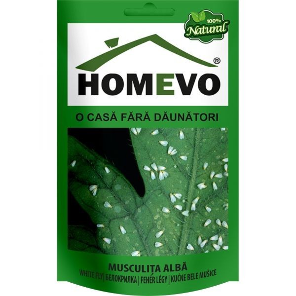 Pulbere naturala impotriva musculitei albe