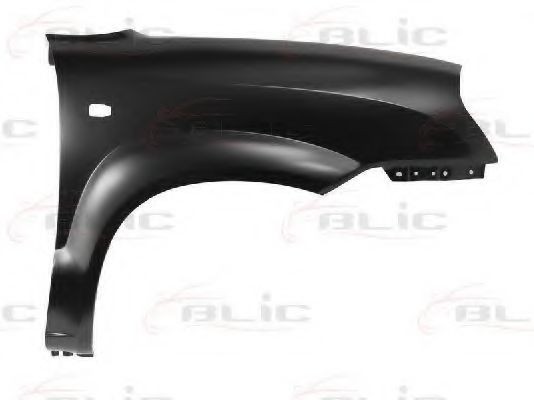 Aripa fata HYUNDAI TUCSON (JM) (2004 - 2010) BLIC 6504-04-3175312P
