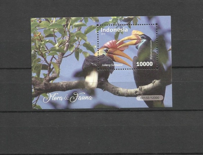 INDONESIA 2018 FAUNA PASARI