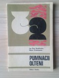 Ion Puiu Dumitrescu; Marin Crăciunescu - Pumnacii olteni 1923-1973
