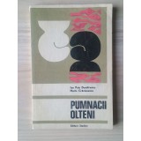 Ion Puiu Dumitrescu; Marin Crăciunescu - Pumnacii olteni 1923-1973