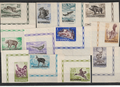 Romania 1956-Fauna , Vanatoarea ,serie 12 valori , colt de coli,nedantelate,MNH foto