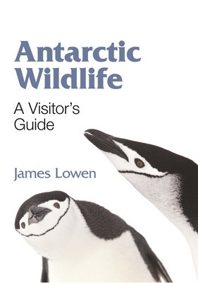 Antarctic Wildlife: A Visitor&amp;#039;s Guide foto