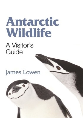 Antarctic Wildlife: A Visitor&#039;s Guide