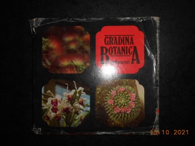 V. DIACONESCU - GRADINA BOTANICA DIN BUCURESTI (1982, editie cartonata) foto