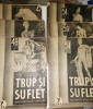 LOT 6 REVISTA TRUP SI SUFLET , ANII 30-40