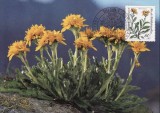 C1443 - Germania 1983 - carte maxima flora