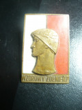 Insigna mare Soldat Exemplar 1950 Polonia ,bronz si email ,dim.=4,1x3cm