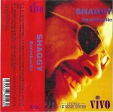 Shaggy - Boombastic, Caseta audio