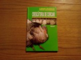 CRESCATORIA DE CURCAN - L. Feldhaus, E. Sieverding - 2007, 109 p., Alta editura