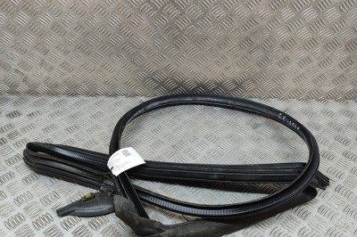 Garnitura ușă st&amp;acirc;nga spate TESLA MODEL 3 2021 OEM: 1090511-00-L | 27183733 foto