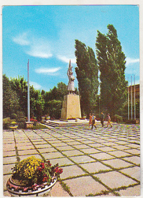 bnk cp Satu Mare - Monumentul ostasului roman - circulata - marca fixa foto