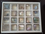 NI68 Colecție de pietre și minerale Sch&auml;tze der erde