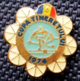 II.017 INSIGNA ROMANIA CUPA TINERETULUI SKI SCHI 1974