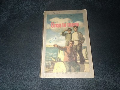 VLADIMIR BELIAEV - ORAS LA MARE foto