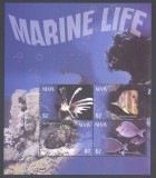 NEVIS 2003 FAUNA MARINA PESTI