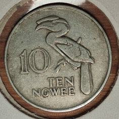 Zambia -moneda de colectie exotica- 10 ngwee 1972 -in cartonas- pasarea rinocer