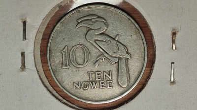 Zambia -moneda de colectie exotica- 10 ngwee 1972 -in cartonas- pasarea rinocer foto
