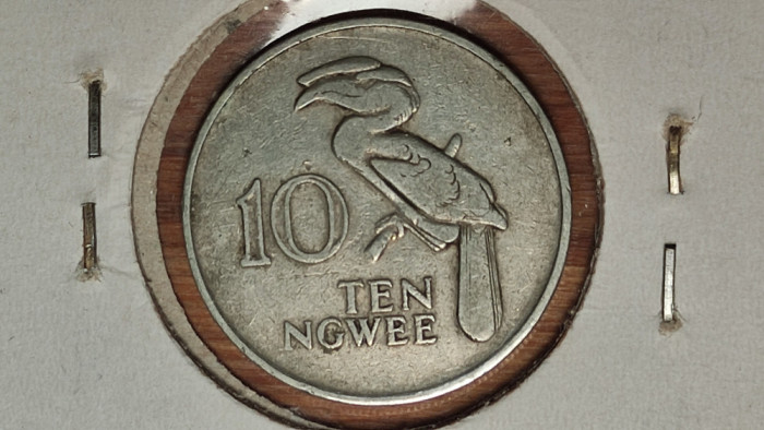 Zambia -moneda de colectie exotica- 10 ngwee 1972 -in cartonas- pasarea rinocer