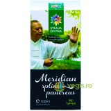 Tinctura Meridian Splina si Pancreas 100ml