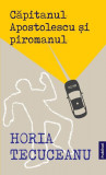 Căpitanul Apostolescu și Piromanul - Paperback brosat - Horia Tecuceanu - Publisol