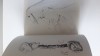 Sarane Alexandrian Victor Brauner Les dessins magiques