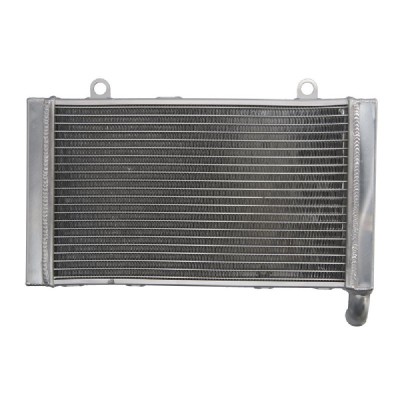 RADIATOR HONDA CBF 1000 2006 2010 foto