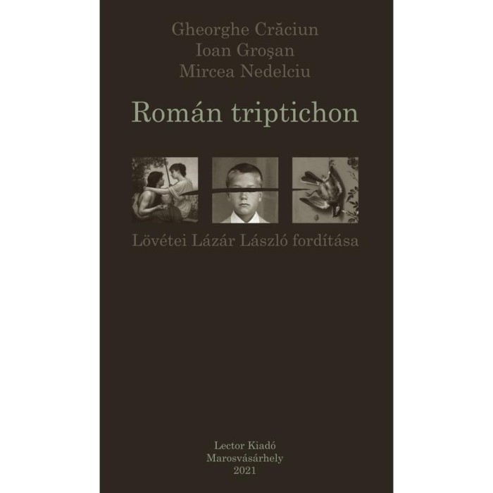 Rom&aacute;n triptichon - Gheorghe Crăciun &ndash; Ioan Gro?an &ndash; Mircea Nedelciu