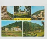 bnk cp Slanic Moldova - Imagini din statiune - circulata